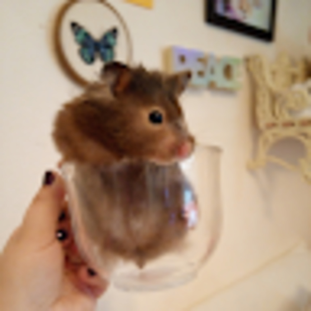 Meet your Posher, Kit-